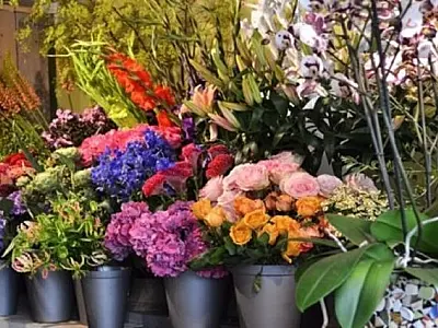 De flores a rodízio de pizzas, pesquisa do Procon/MS indica variação de preços no Dia dos Namorados
