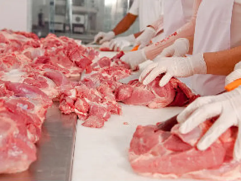 Carne produzida em laboratório poderá reduzir gases de efeito estufa