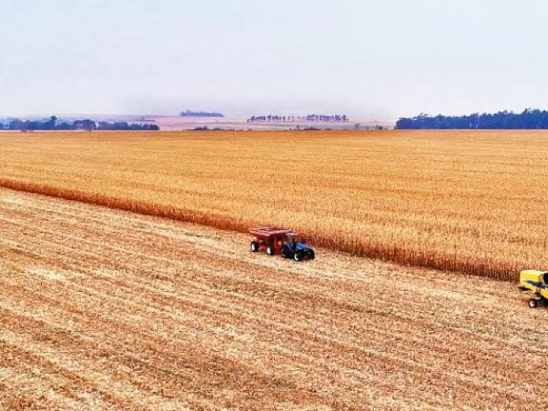 Valor Bruto da Produção Agropecuária de MS apresenta crescimento de 17,85% nos últimos 3 anos
