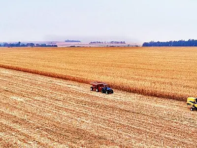 Valor Bruto da Produção Agropecuária de MS apresenta crescimento de 17,85% nos últimos 3 anos
