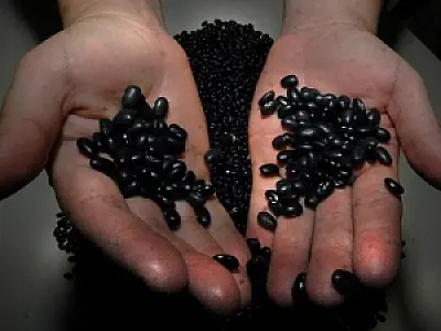 Brasil precisa importar 200 mil toneladas de feijão