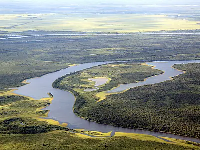 Na Semana do Meio Ambiente, governo destaca ações realizadas nos últimos seis anos
