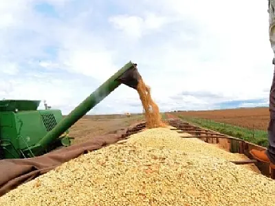 Exportações do agronegócio aumentam 11,8% em outubro