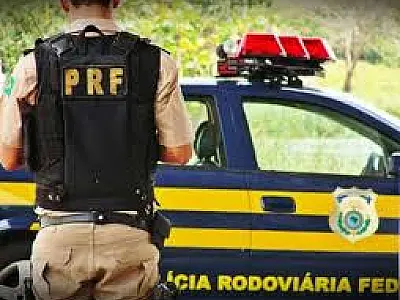 Balanço parcial da PRF aponta aumento nos casos de atropelamento