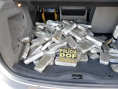 DOF apreende 75 Kg de maconha em Mundo Novo