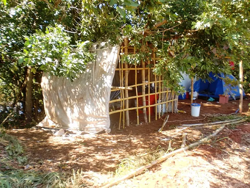 Homem é multado em R$ 5 mil por desmatamento em Batayporã