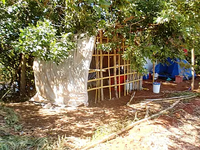 Homem é multado em R$ 5 mil por desmatamento em Batayporã