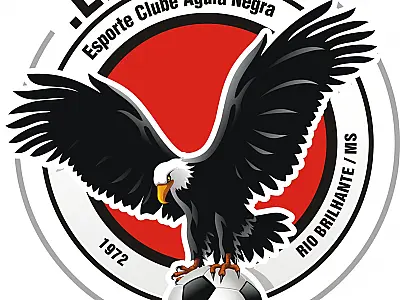 Ex-Botafogo e mais quatro reforçam Águia Negra para Série D