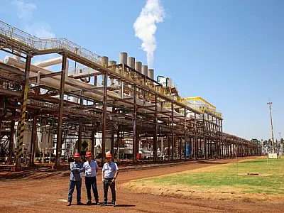 Setor de bioenergia é 'portador do futuro'