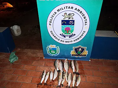 Dois pescadores são presos por captura de peixes fora da medida, pescar com petrecho e em local proibido