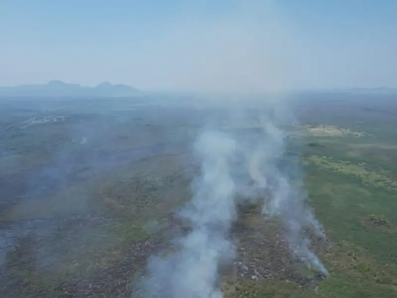 Bombeiros combatem três novos focos de incêndio no Pantanal em MS