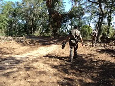 PMA autua dono de chácara em R$ 3 mil por desmatamento ilegal