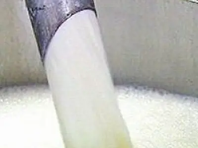 Entressafra deve ser de preços estáveis para o leite