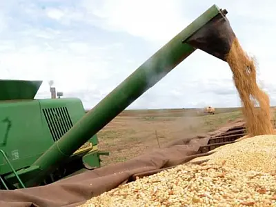 IBGE prevê safra de grãos 1,7% maior no próximo ano