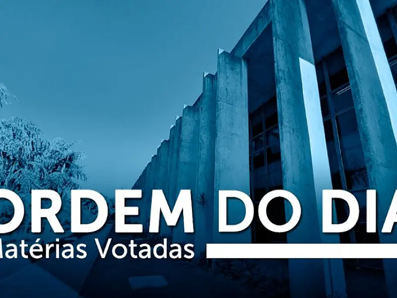 Ordem do Dia: Aprovado PL sobre atendimento aos órfãos por feminicídio
