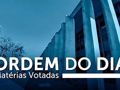 Ordem do Dia: Aprovado PL sobre atendimento aos órfãos por feminicídio
