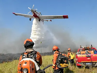 Para prevenção aos incêndios florestais em MS, novas regras para uso do fogo facilitam licenciamento