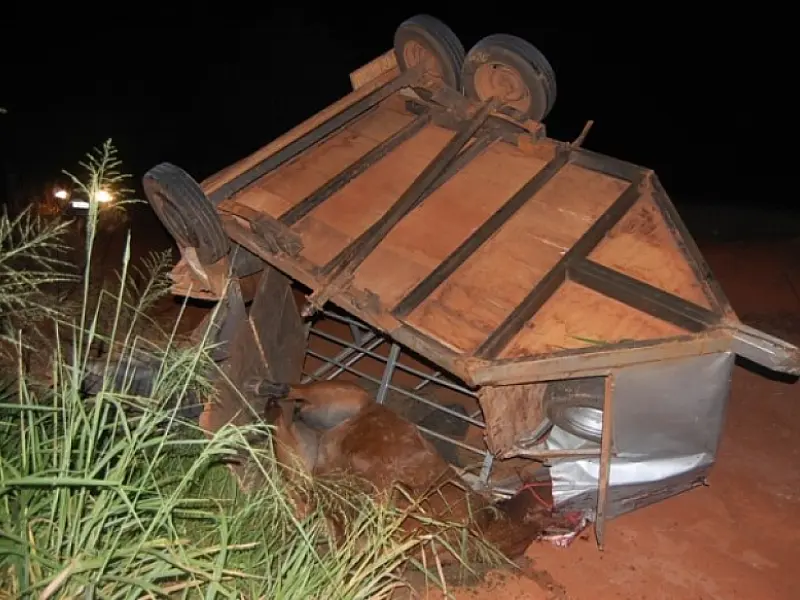 Colisão entre dois veículos causa morte de animal em Nova Andradina