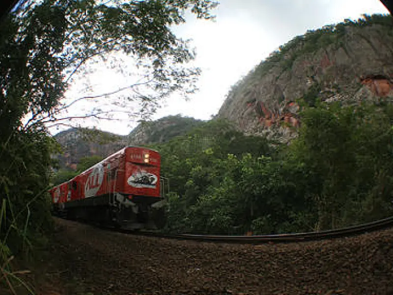 Trem do Pantanal é opção de passeio contemplativo no sábado de feriado prolongado