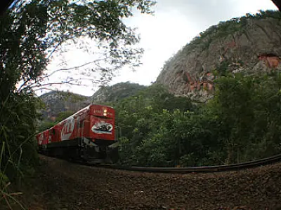 Trem do Pantanal é opção de passeio contemplativo no sábado de feriado prolongado