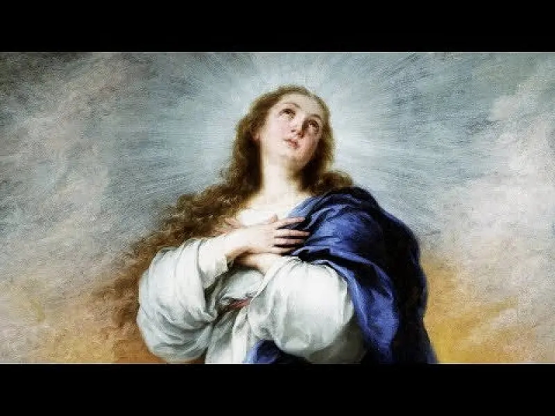 Homilia Diária.712: Solenidade da Imaculada Conceição de Nossa Senhora