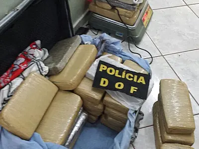 DOF apreende 33 quilos de maconha em ônibus na MS 295
