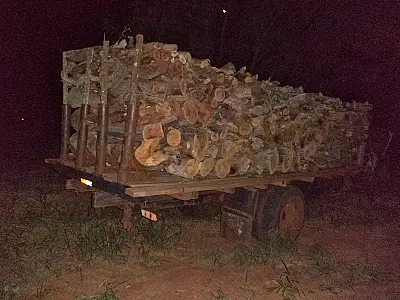 PMA autua fazendeiro por transporte de carga de lenha ilegal em Selvíria