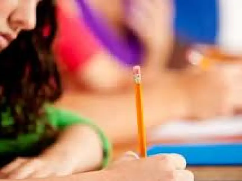 Programa Vale-Universidade monitora locais de estágios no interior do Estado