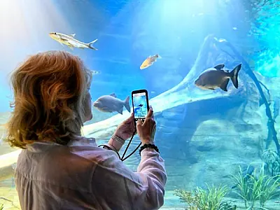 Bioparque Pantanal está fechado para manutenção e reabre dia 9 de janeiro