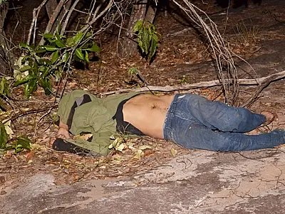 Paraguaio morre após cair de árvore na BR-163