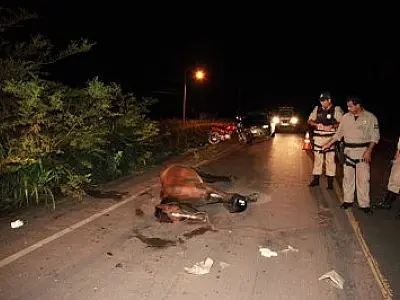 Jovem morre depois de atropelar cavalo na BR-359 em Coxim