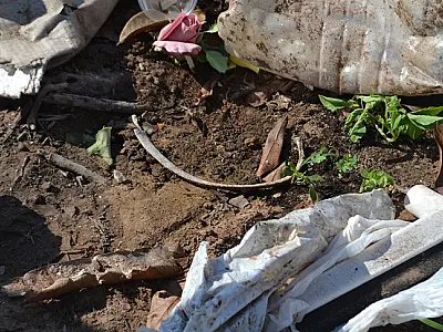 Polícia é acionada para investigar possível ossada humana encontrada em terreno