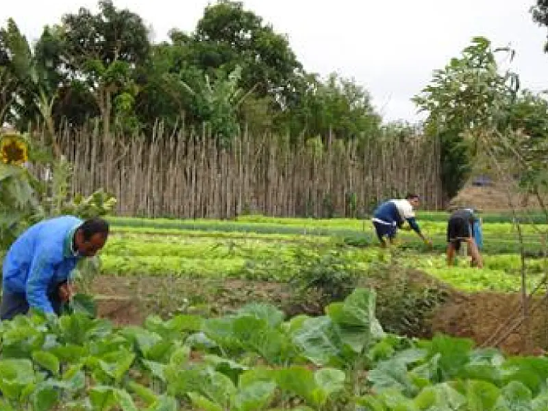 Agricultores de MS podem usar nota fiscal eletrônica