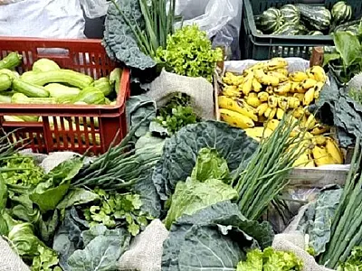Governo destinou mais de R$ 9 milhões para criação de 17 centros de comercialização da agricultura f