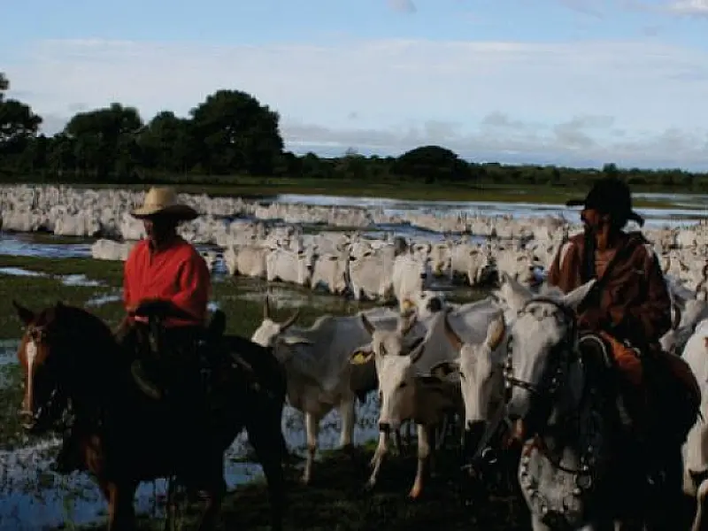 Portaria da Iagro equaliza vacinação da Zona de Fronteira e Planalto