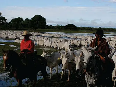 Portaria da Iagro equaliza vacinação da Zona de Fronteira e Planalto
