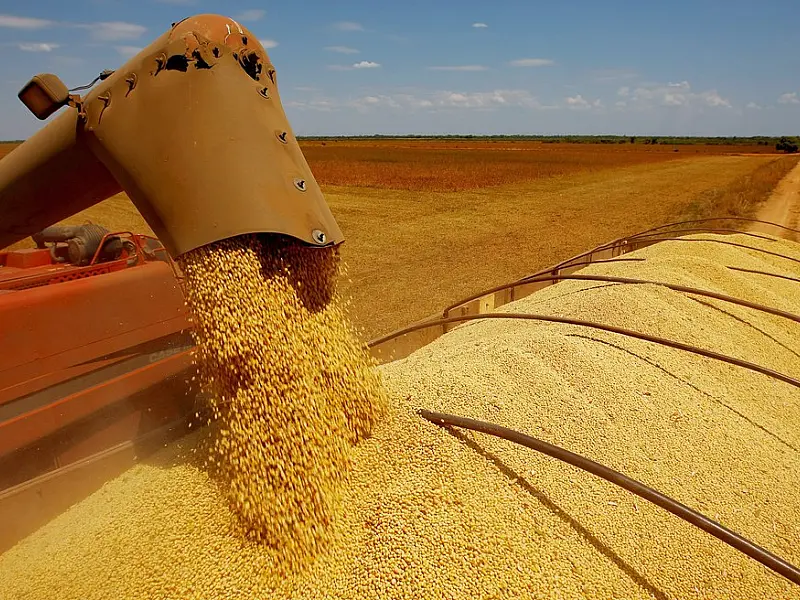IBGE eleva previsão de aumento da safra agrícola para 29,2% em 2017