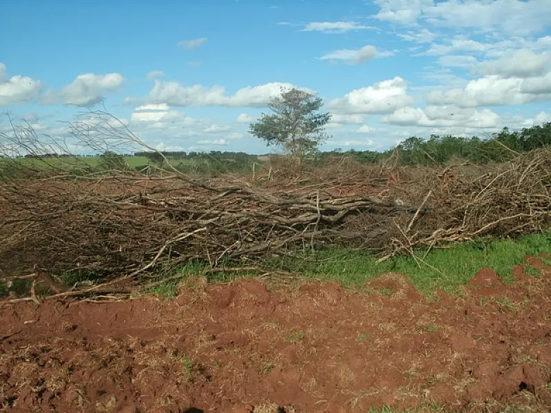 PMA autua idoso por desmatamento ilegal em Taquarussu