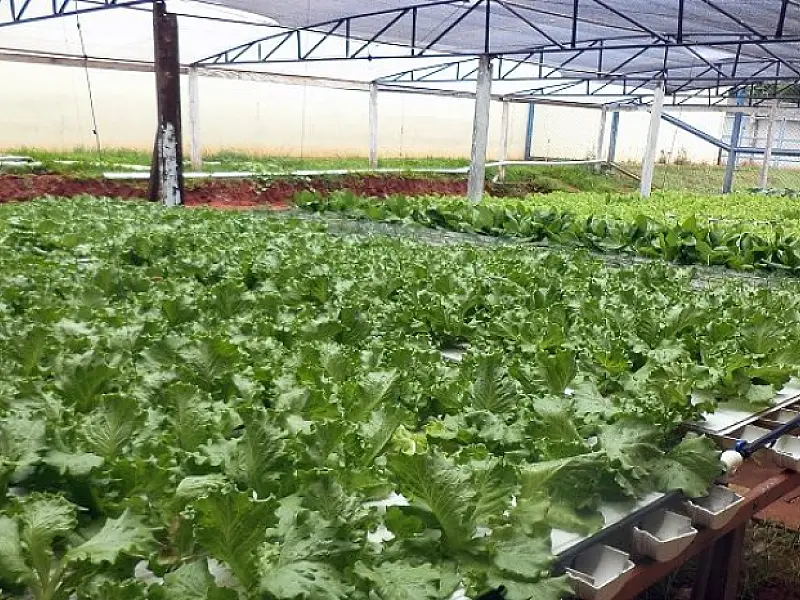Programa de sustentabilidade consorciado em presídio da Agepen garante indicação ao Prêmio Innovare
