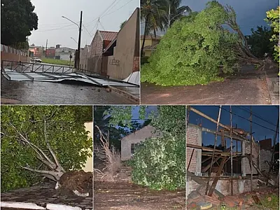 Forte chuva com vento causa enormes estragos em Coxim