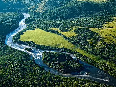 Mata Atlântica perdeu 235 km² de vegetação entre 2012 e 2013