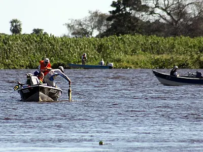 A partir desta quinta, modalidade 'pesque e solte' está liberada nos rios Paraguai e Paraná