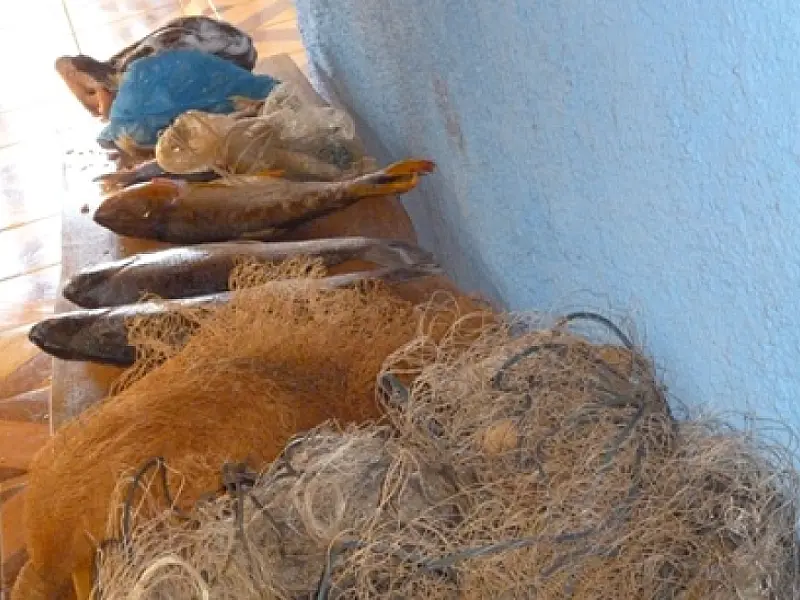 PMA prende assentado por pesca predatória em Rio Brilhante