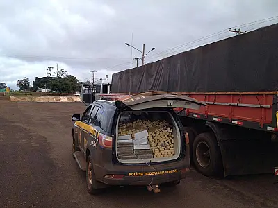 Mais de 306 kg de maconha é apreendida pela PRF na BR-163