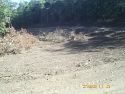 PMA autua empresa de ecoturismo em R$ 10 mil por desmatamento ilegal