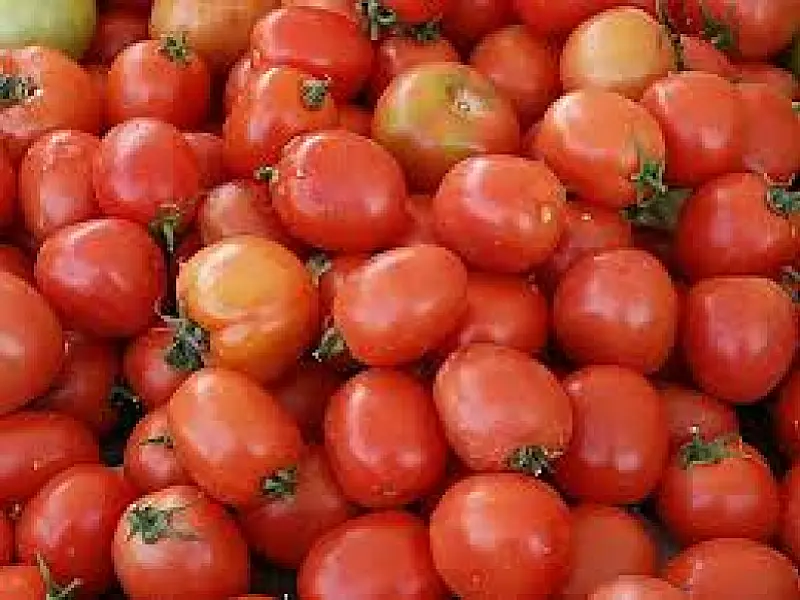 Cesta Básica Alimentar registra queda de 2,90% no mês de agosto