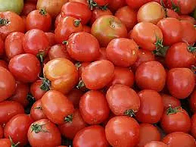 Cesta Básica Alimentar registra queda de 2,90% no mês de agosto