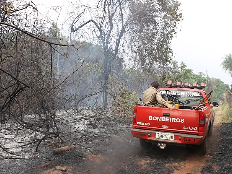 Incêndio em Reserva Florestal mobiliza Bombeiros e preocupa moradores