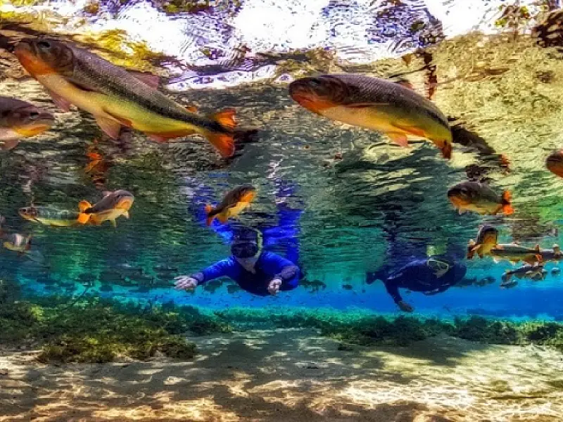 Passeios de ecoturismo em MS são finalistas em certame internacional do setor