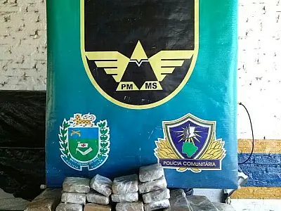 PMR apreende maconha que seria levada para SC